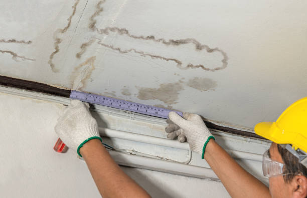 Reliable Flood Cleanup contractor in Lewistown, OH by Water Damage Irwin